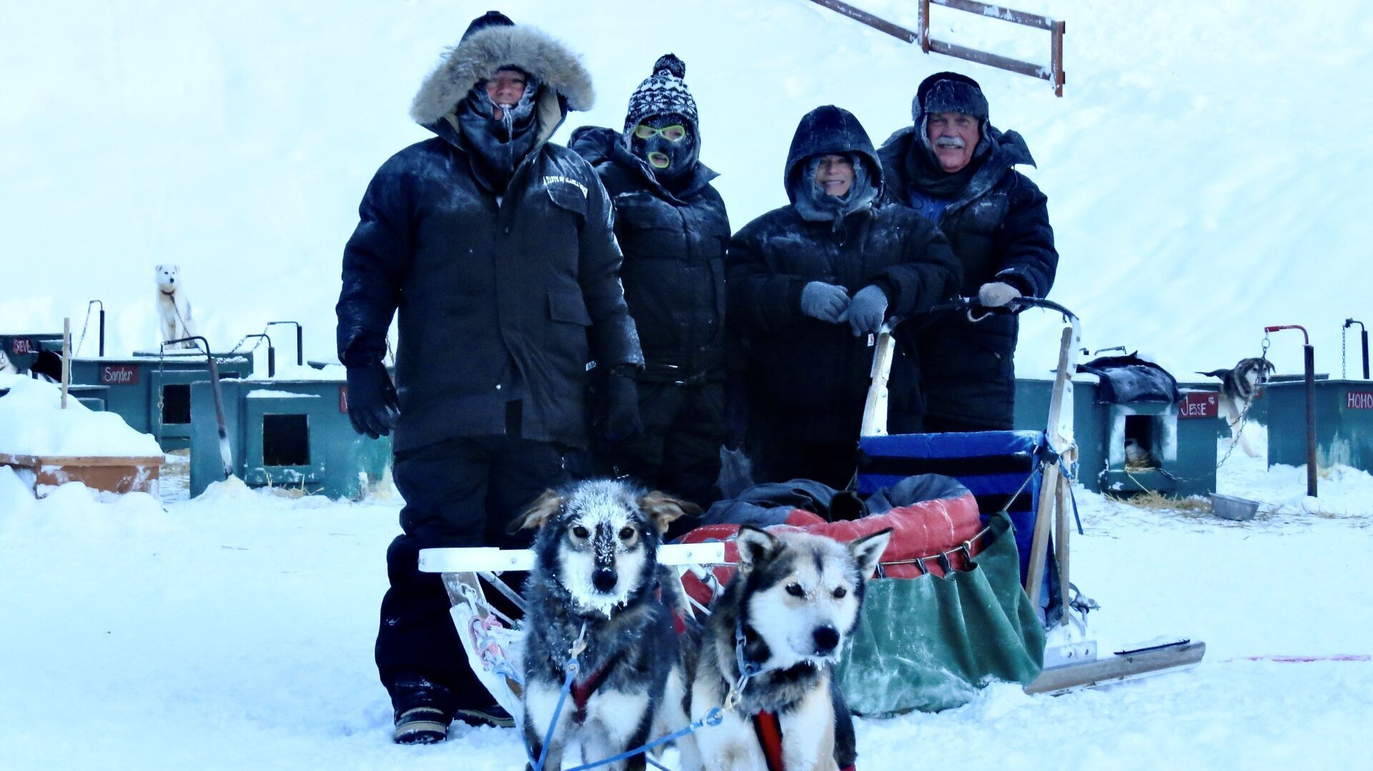 Dog sledding